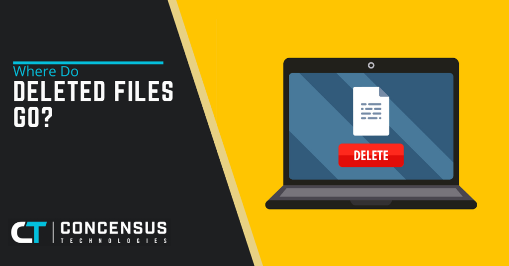 Where Do Deleted Files Go?